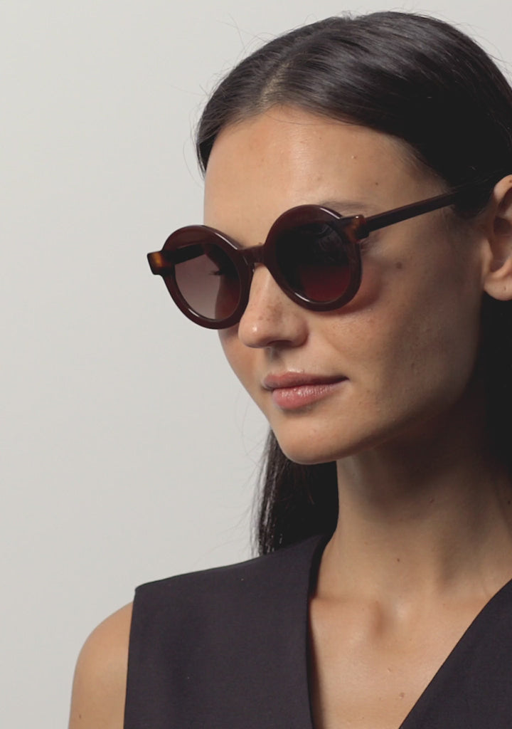 Kaleos Eyehunters - Pollitt II Sunglasses Translucent Brown/Brown Havana