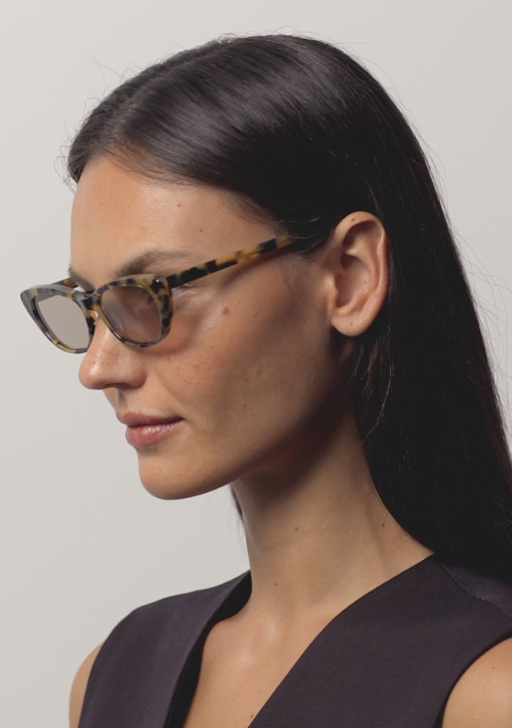 Kaleos Eyehunters - Cobb Sunglasses Brown Havana with Brown Photochromic Lenses