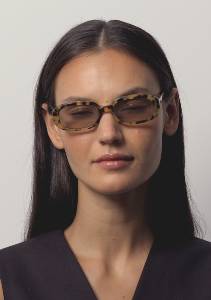 Kaleos Eyehunters - Stirling Sunglasses Brown Havana with Brown Photochromic Lenses