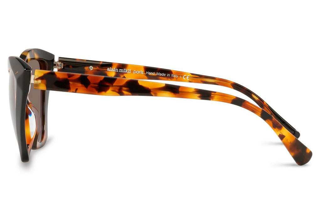 Alain Mikli - Ambrette (A05056) Sunglasses Havana/Black Rhombus