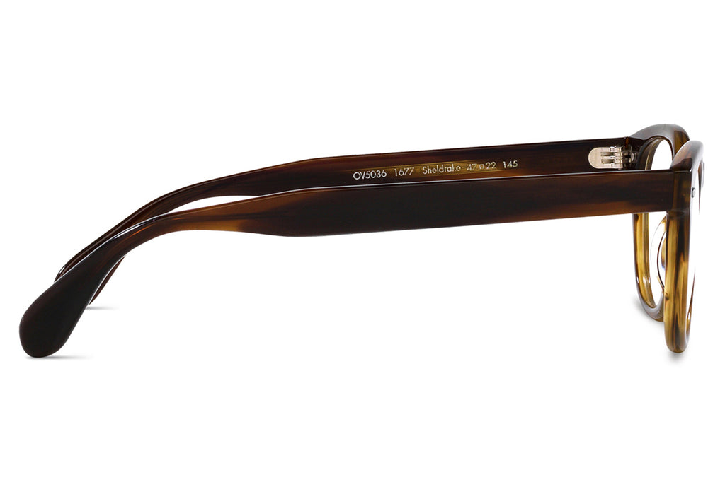 Oliver Peoples - Sheldrake - Tailored Fit (OV5036A) Eyeglasses Bark