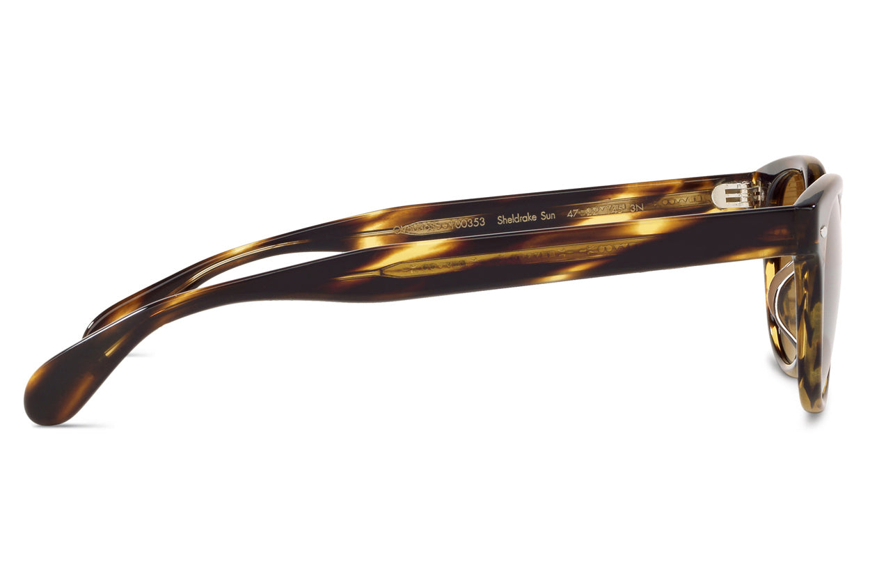 小物 OLIVER PEOPLES Sheldrake Sun OV5036 Oliver Peoples - Sheldrake Sun-F (OV5036SF) Sunglasses | Specs