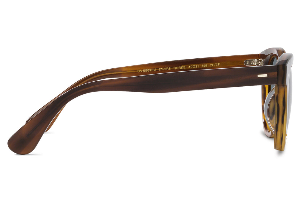 Oliver Peoples - Rorke (OV5509SU) Sunglasses Sycamore with Indigo Photochromic Lenses