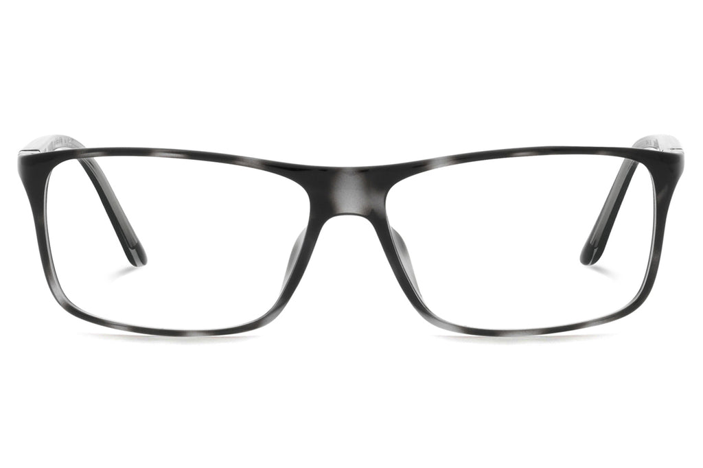 Starck Biotech - PL1043 (SH1043X) Eyeglasses Havana Grey