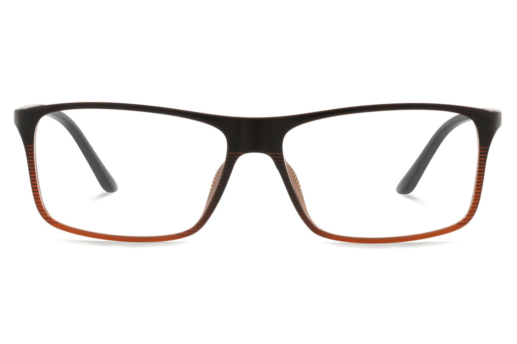 Starck Biotech - PL1043 (SH1043X) Eyeglasses Black/Brown