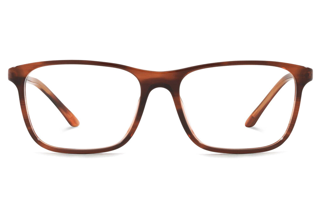 Starck Biotech - SH3065 Eyeglasses Havana Brown