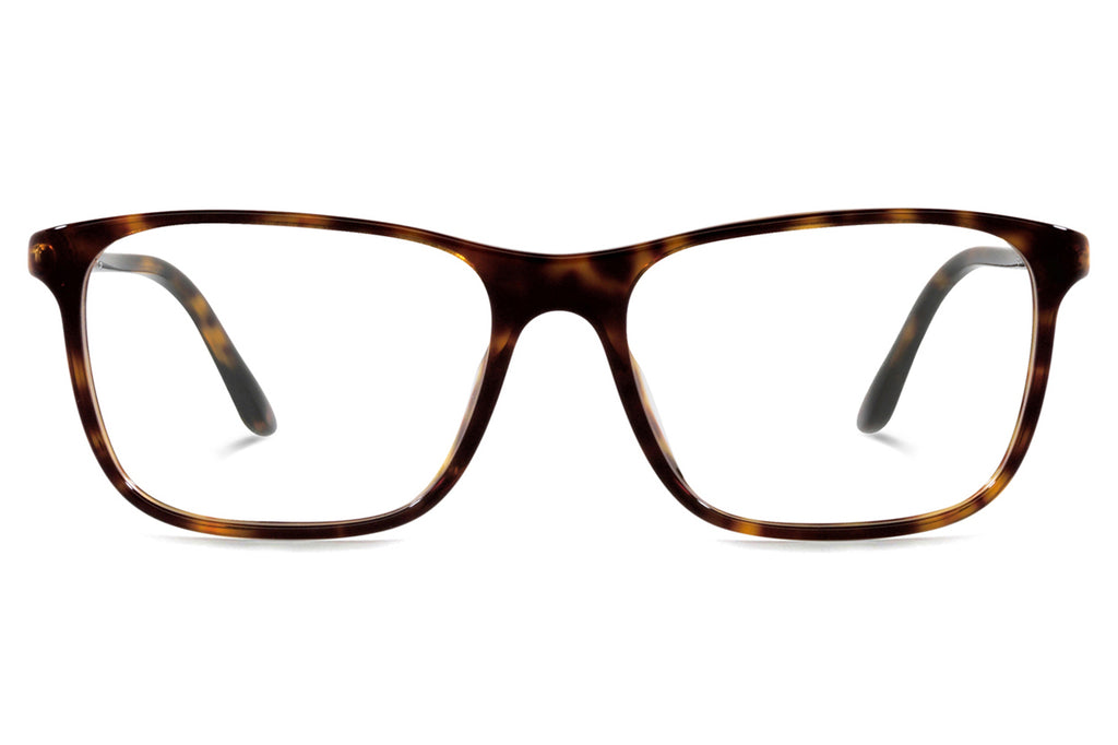 Starck Biotech - SH3065 Eyeglasses Havana