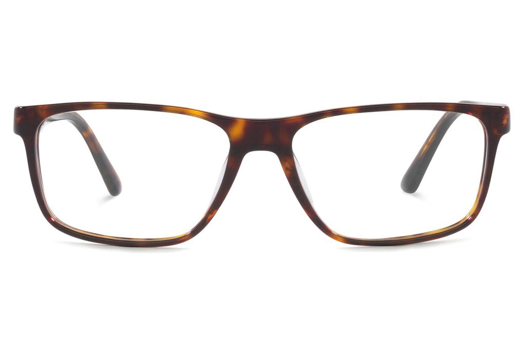 Starck Biotech - SH3077 Eyeglasses Havana