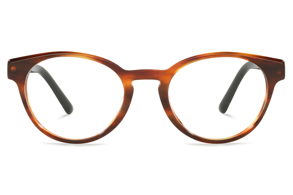 Starck Biotech - SH3082 Eyeglasses Havana