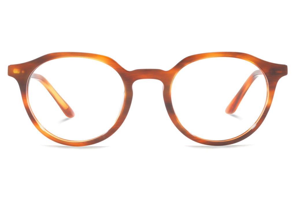 Starck Biotech - SH3086 Eyeglasses Havana