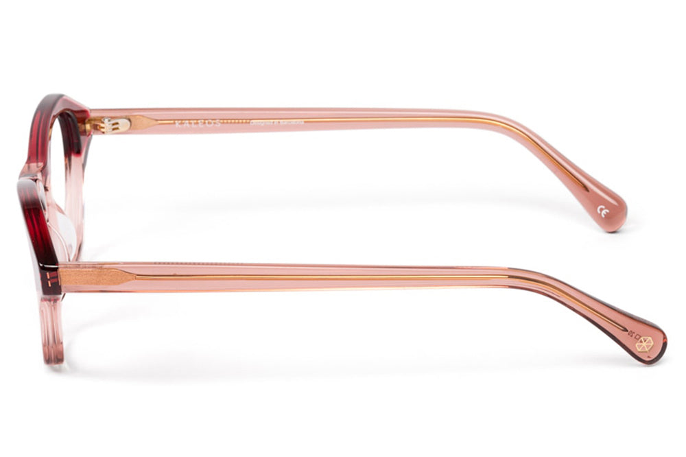 Kaleos Eyehunters - Crane Eyeglasses Transparent Pink