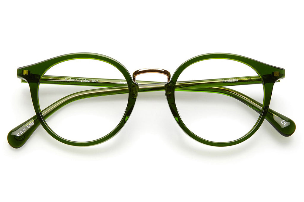 Kaleos Eyehunters - Schindler Eyeglasses Transparent Green