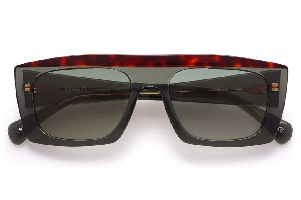 Kaleos Eyehunters - Casswell Sunglasses Transparent Grey/Red Tortoise