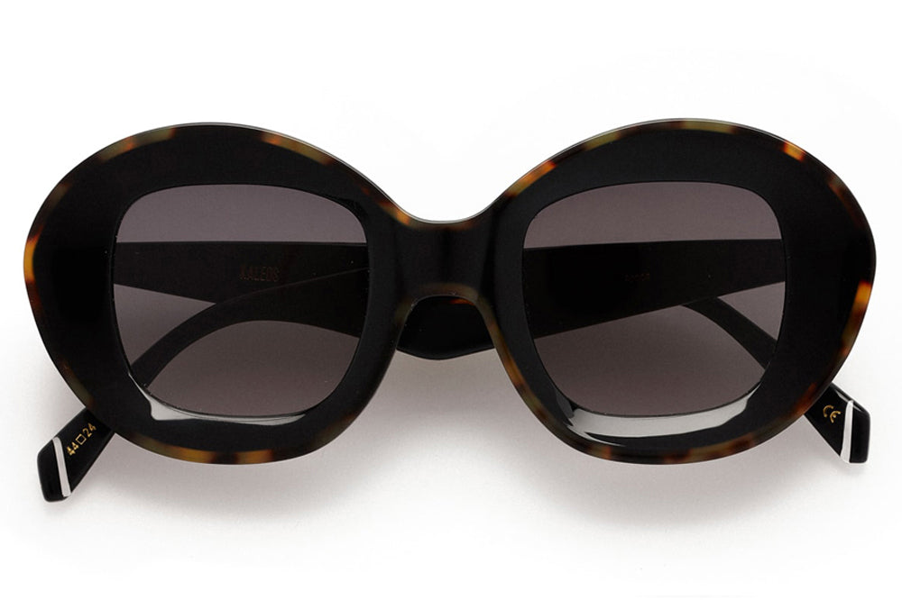 Kaleos Eyehunters - Arcos Sunglasses Tortoise/Black