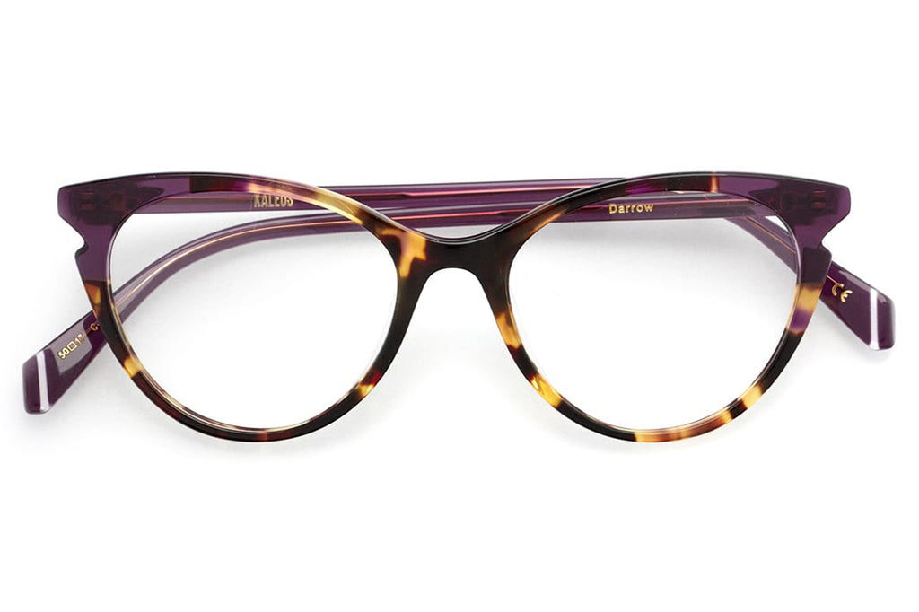 Kaleos Eyehunters - Darrow Eyeglasses Brown Tortoise/Purple Tortoise