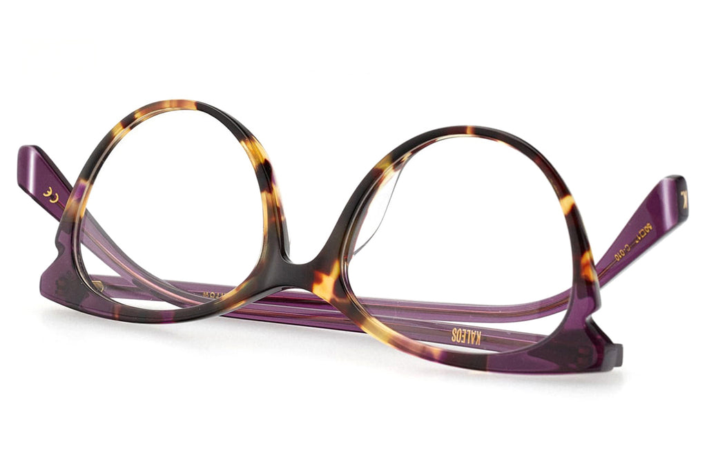 Kaleos Eyehunters - Darrow Eyeglasses Brown Tortoise/Purple Tortoise