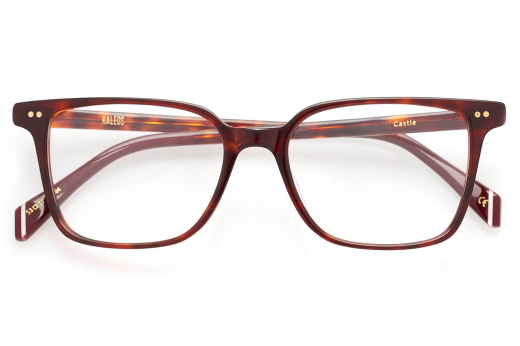 Kaleos Eyehunters - Castle Eyeglasses Dark Brown Tortoise