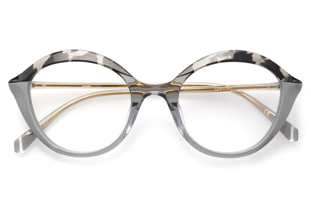 Kaleos Eyehunters - Spencer Eyeglasses Black Tortoise/Transparent Grey
