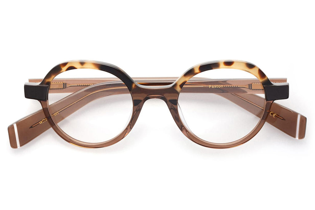 Kaleos Eyehunters - Paxton Eyeglasses Transparent Brown/Brown Tortoise