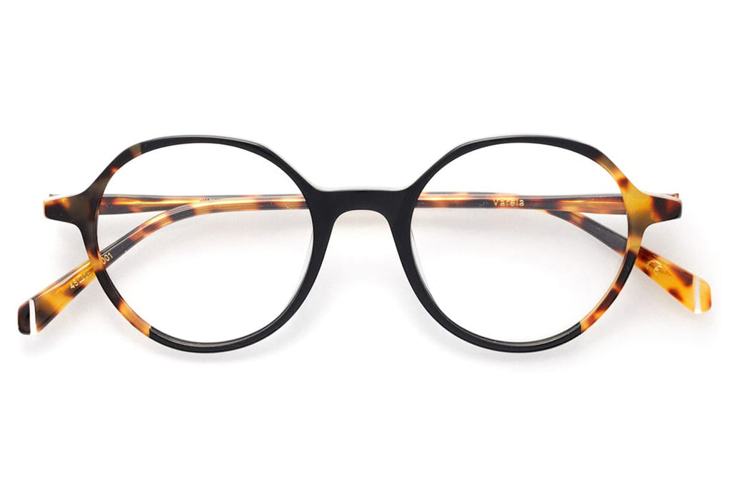 Kaleos Eyehunters - Varela Eyeglasses Black/Caramel Tortoise