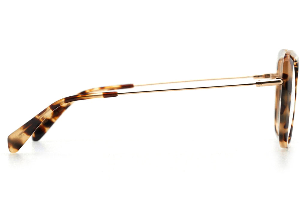 Kaleos Eyehunters - Carlini Eyeglasses Brown Tortoise/Gold