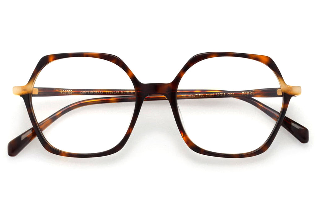 Kaleos Eyehunters - Perry Eyeglasses Dark Brown Tortoise