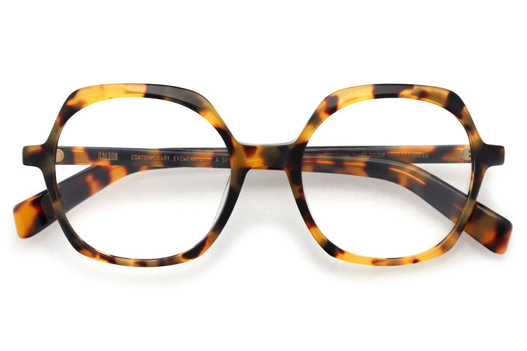 Kaleos Eyehunters - Sage Eyeglasses Light Dark Brown Tortoise