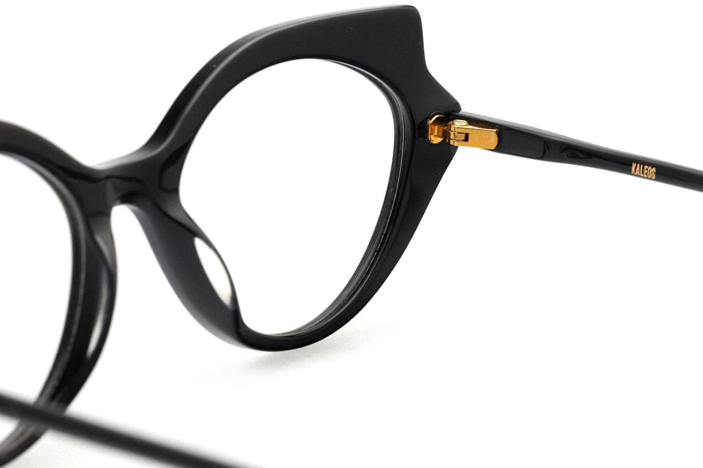 Kaleos Eyehunters - Van Allen Eyeglasses Black