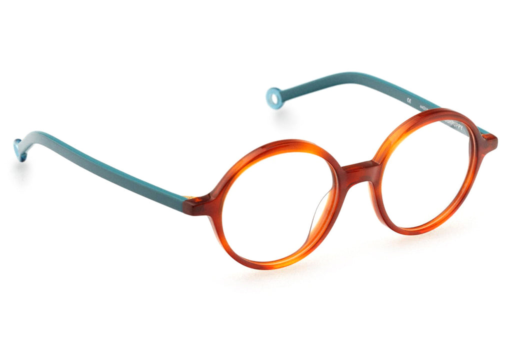 Kaleos Eyehunters - Hushpuppy Eyeglasses Caramel Tortoise