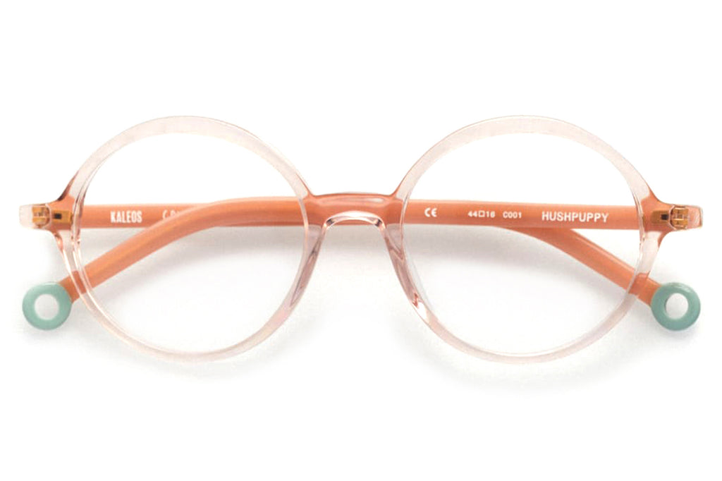 Kaleos Eyehunters - Hushpuppy Eyeglasses Transparent Pink