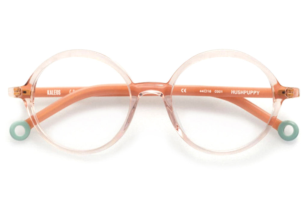 Kaleos Eyehunters - Hushpuppy Eyeglasses Transparent Pink