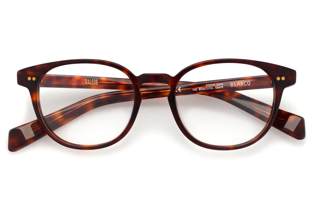 Kaleos Eyehunters - Blanco Eyeglasses Dark Brown Tortoise