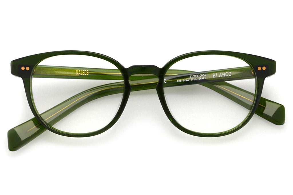 Kaleos Eyehunters - Blanco Eyeglasses Transparent Green
