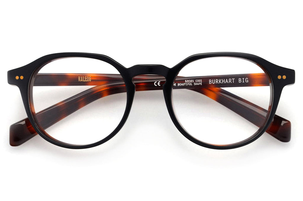Kaleos Eyehunters - Burkhart Big Eyeglasses Black