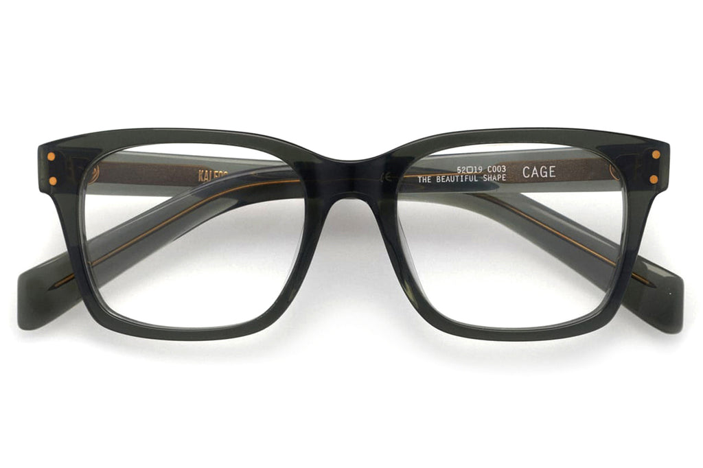 Kaleos Eyehunters - Cage Eyeglasses Transparent Green