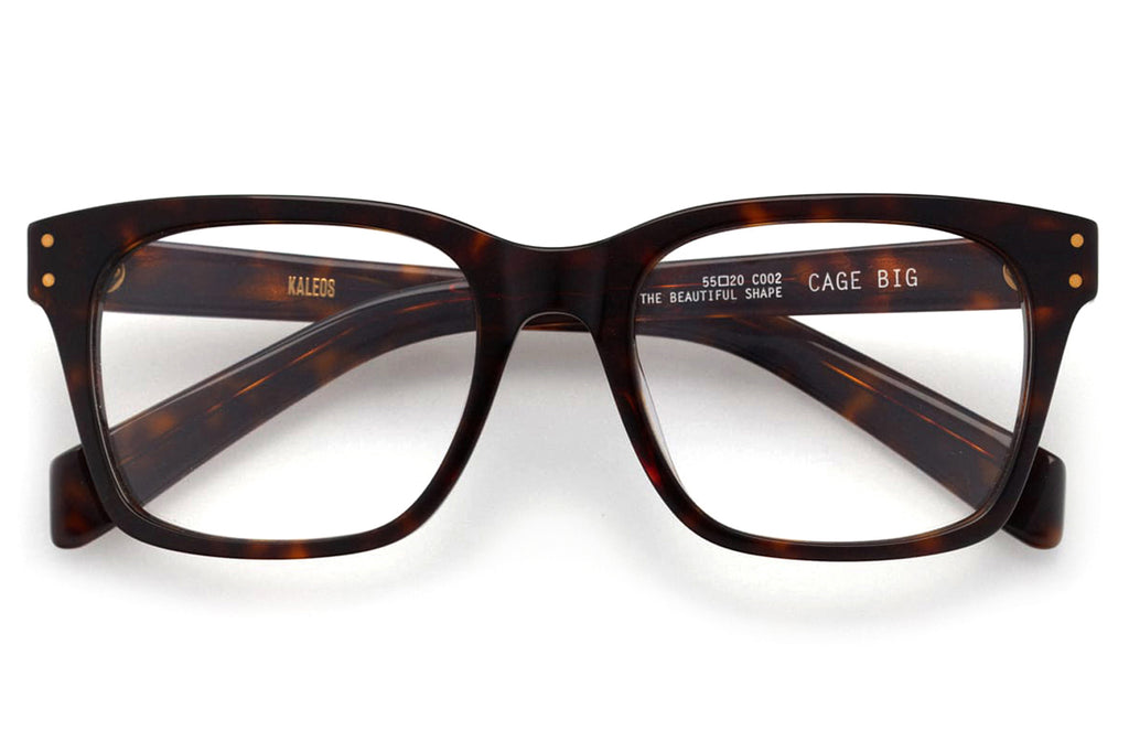 Kaleos Eyehunters - Cage Big Eyeglasses Dark Brown Havana