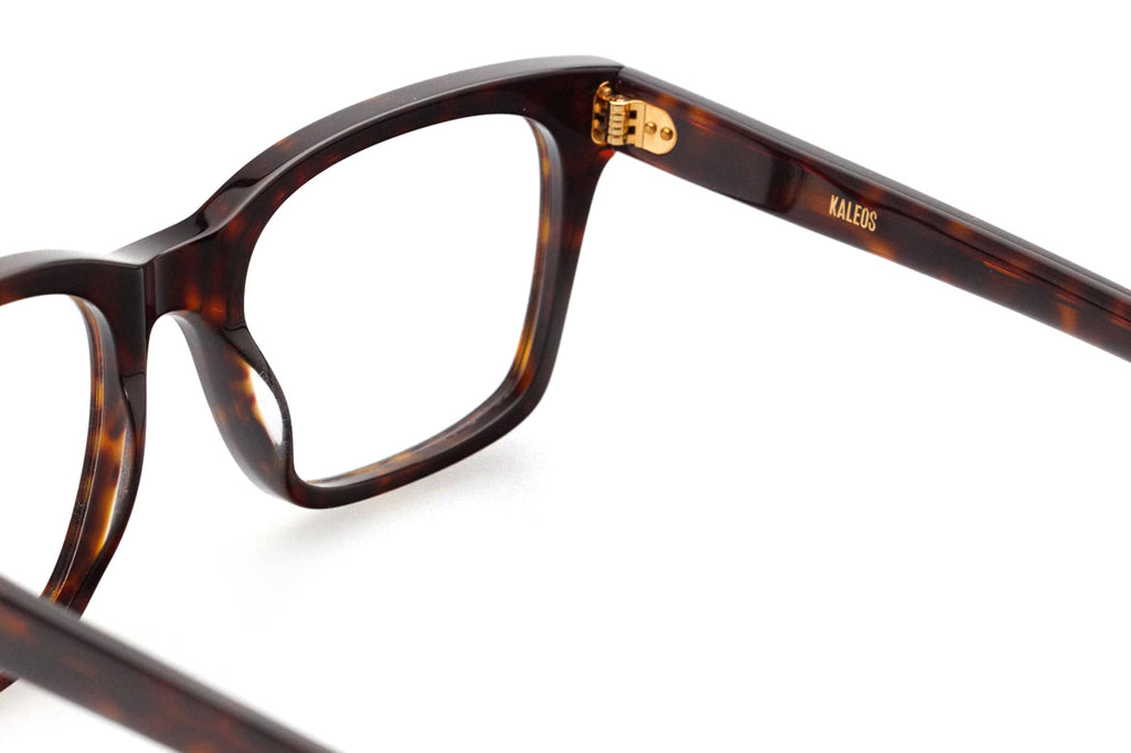 Kaleos Eyehunters - Cage Big Eyeglasses Dark Brown Havana
