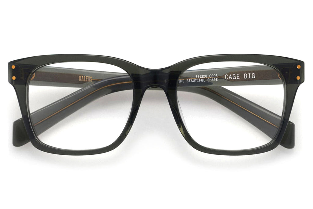 Kaleos Eyehunters - Cage Big Eyeglasses Transparent Green