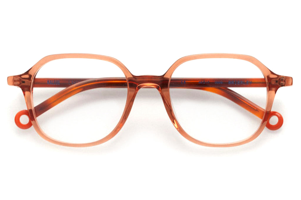 Kaleos Eyehunters - Brierley Eyeglasses Translucent Brown