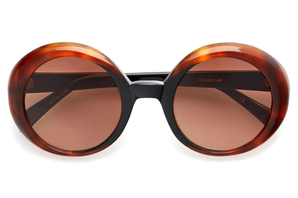 Kaleos Eyehunters - Woodhouse Sunglasses Black/Honey Tortoise