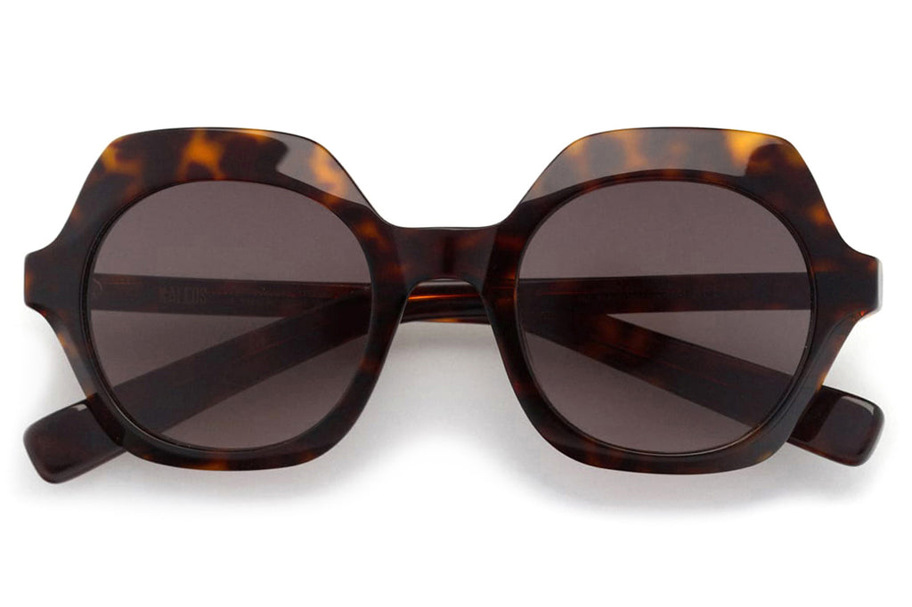 Kaleos Eyehunters - Beetle Sunglasses Dark Brown Tortoise