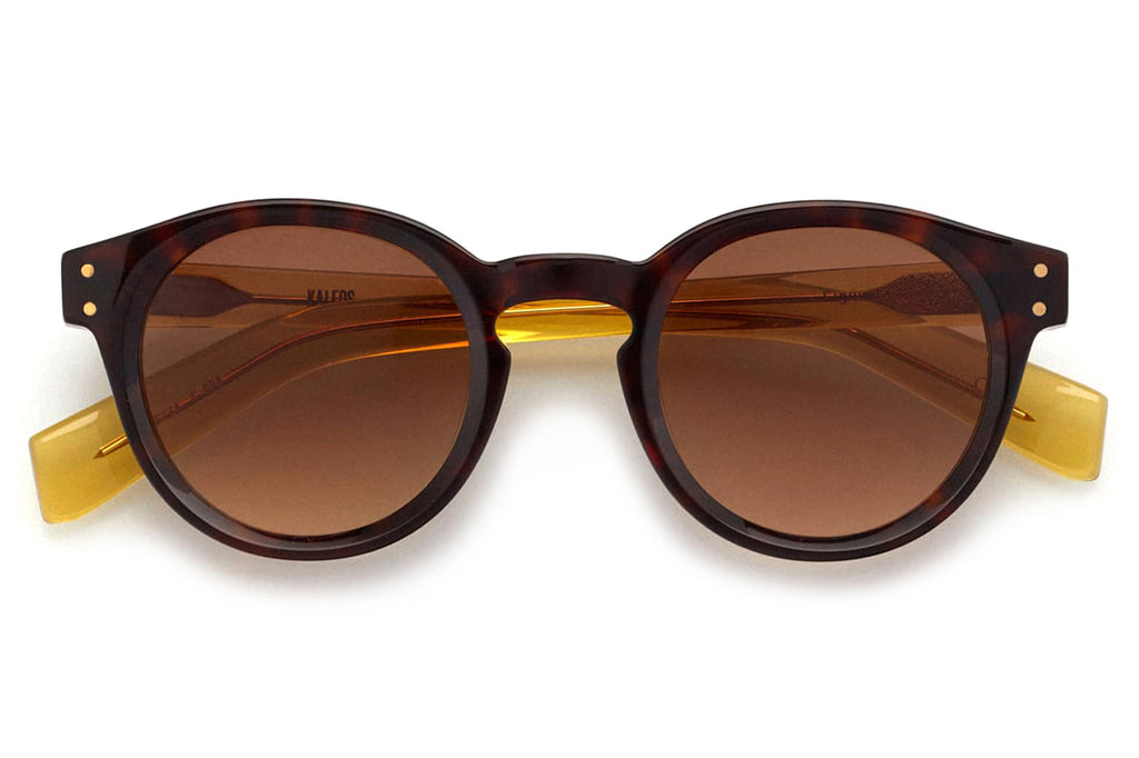Kaleos Eyehunters - Figowitz Sunglasses Tortoise