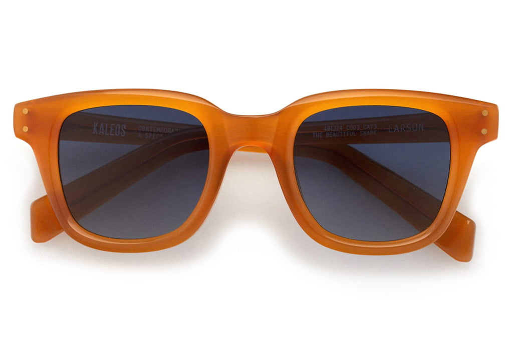 Kaleos Eyehunters - Larson Sunglasses Monochrome Amber