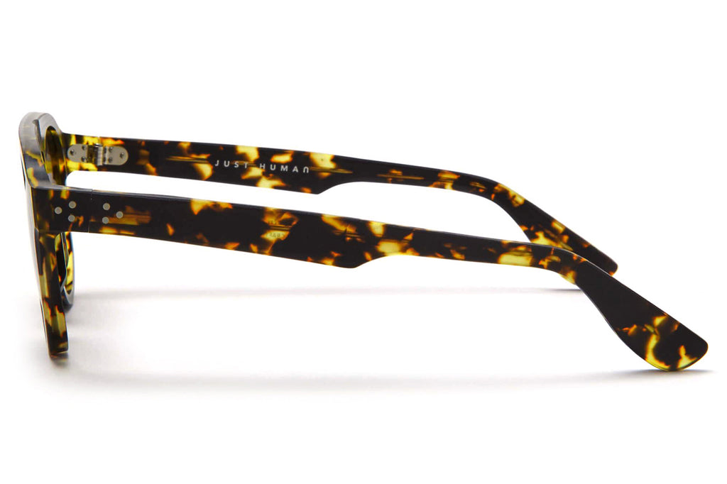Just Human - Modern Aviator 01 Sunglasses Yellow Tortoise