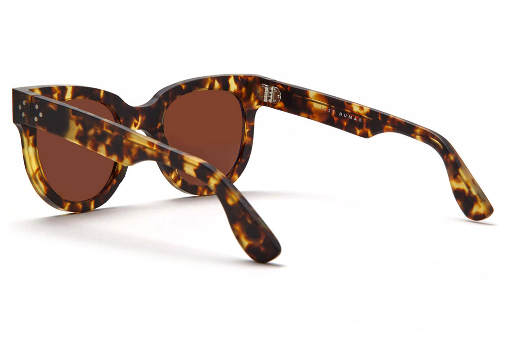 Just Human - Modern Aviator 01 Sunglasses Yellow Tortoise