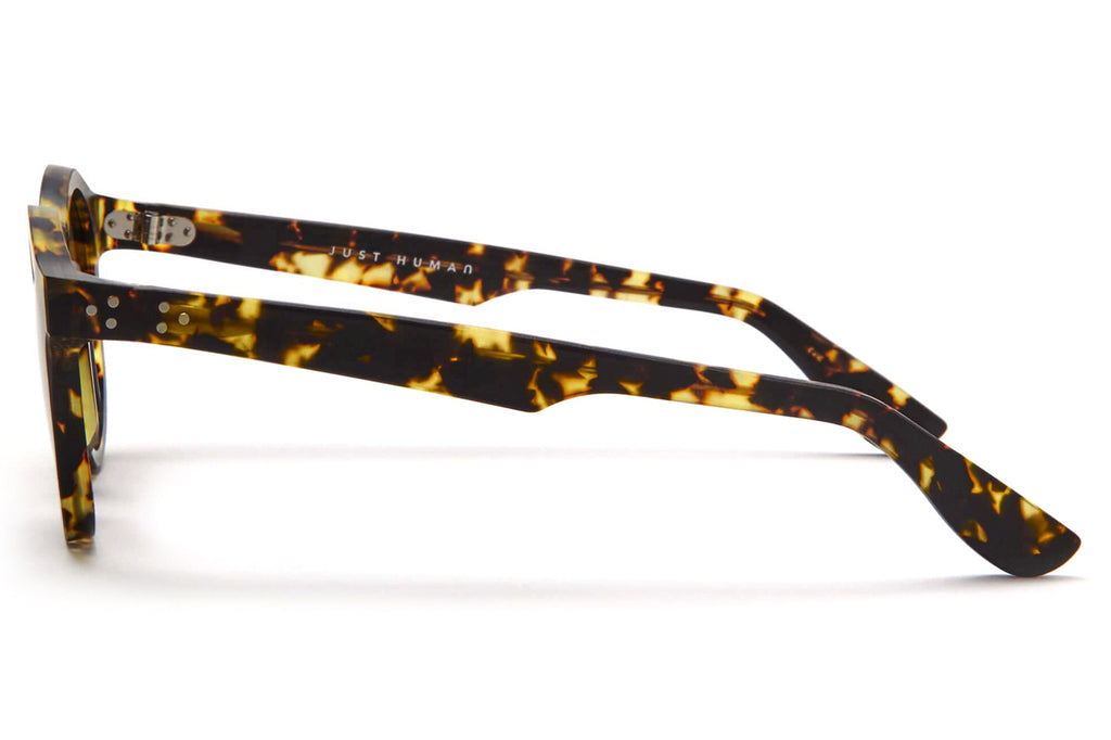 Just Human - Modern Round 01 Sunglasses Yellow Tortoise