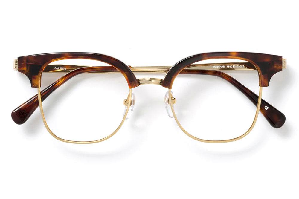 Kaleos Eyehunters - Burnham Eyeglasses Tortoise