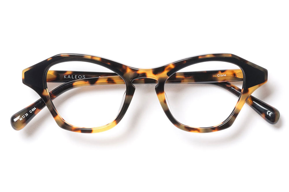 Kaleos Eyehunters - Crane Eyeglasses Brown Tortoise