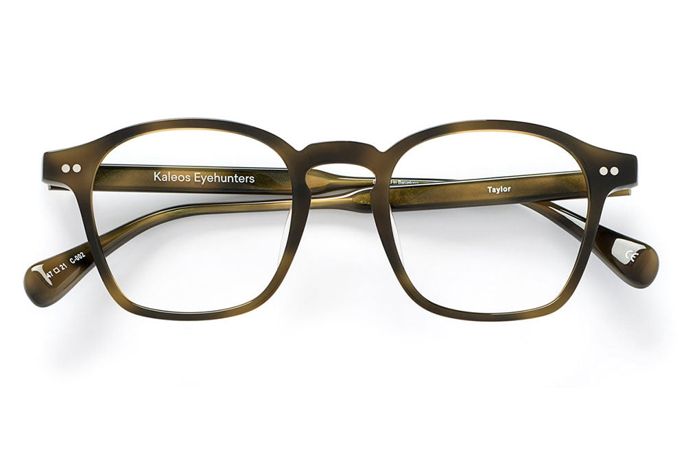 Kaleos Eyehunters - Taylor Eyeglasses Olive Tortoise