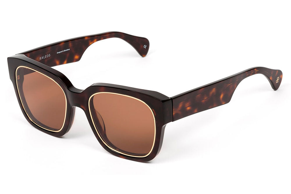 Kaleos Eyehunters - Wilson Sunglasses Dark Brown Tortoise